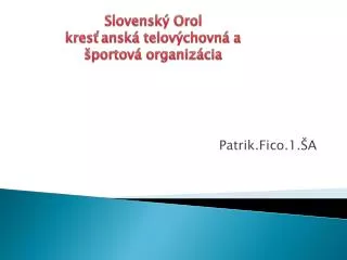 patrik fico 1 a