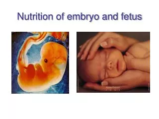 Nutrition of embryo and fetus