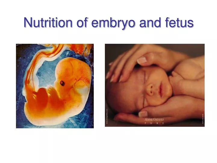 nutrition of embryo and fetus