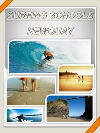Surf Holidays Newquay