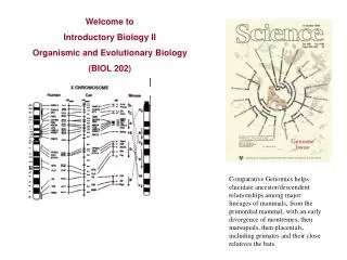 Welcome to Introductory Biology II Organismic and Evolutionary Biology (BIOL 202)