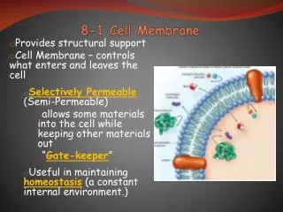 8-1 Cell Membrane