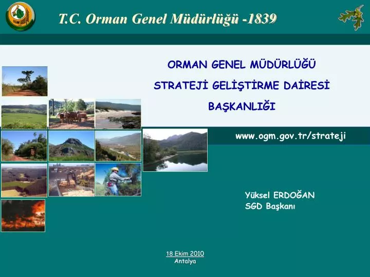 orman genel m d rl stratej gel t rme da res ba kanli i