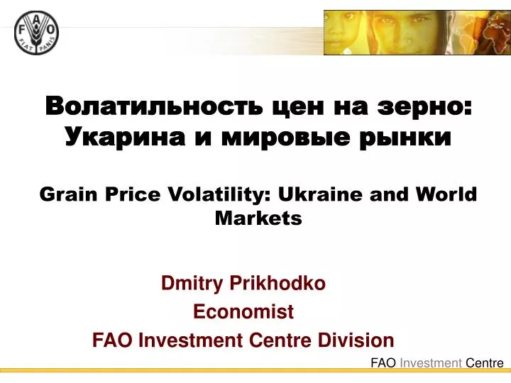 grain price volatility ukraine and world markets