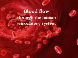 Blood flow through the human circulatory system