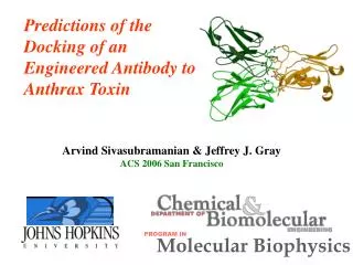 Predictions of the Docking of an Engineered Antibody to Anthrax Toxin