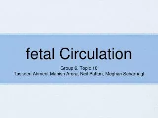 fetal Circulation