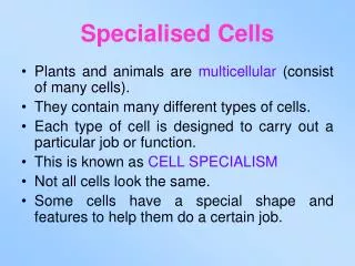 Specialised Cells