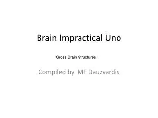 Brain Impractical Uno