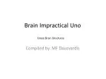 Brain Impractical Uno - slide 1