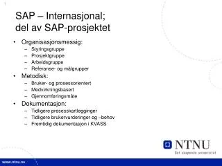 sap internasjonal del av sap prosjektet