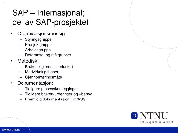 sap internasjonal del av sap prosjektet