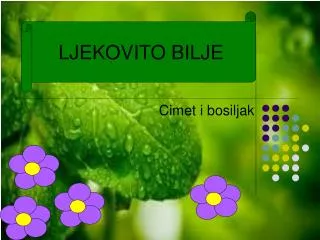 cimet i bosiljak