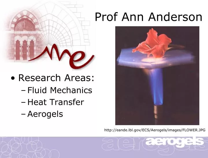 prof ann anderson