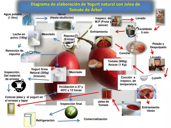 diagrama de elaboraci n de yogurt natural con jalea de tomate de rbol