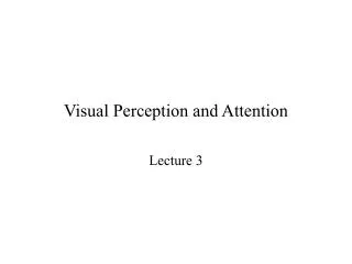 Visual Perception and Attention