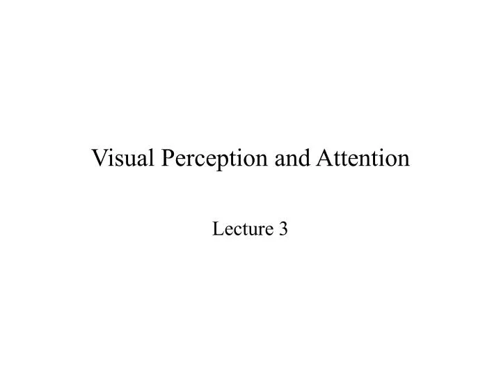visual perception and attention