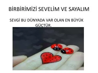 b rb r m z sevel m ve sayalim