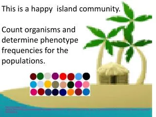 This is a happy island community.