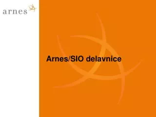 arnes sio delavnice
