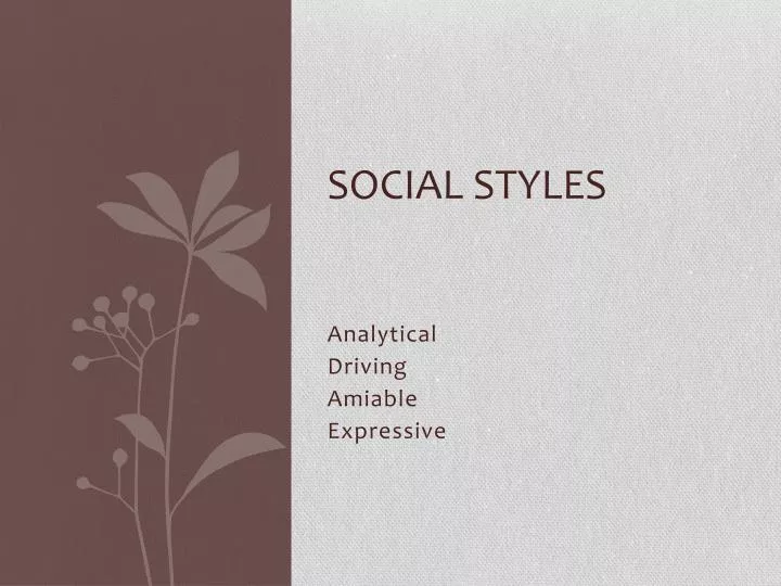 social styles