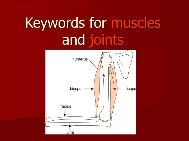 keywords for muscles and joints