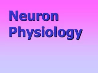 Neuron Physiology
