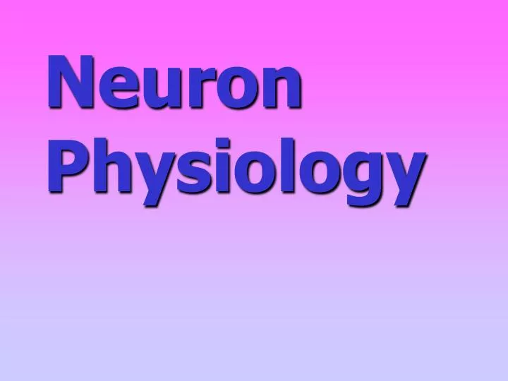 neuron physiology