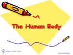 The Human Body - slide 1