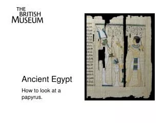 Ancient Egypt How to look at a papyrus.