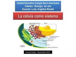 unidad educativa c olegio i bero americano c tedra biolog a 3er a o docente lcda angelina rinaldi