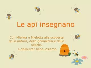 le api insegnano