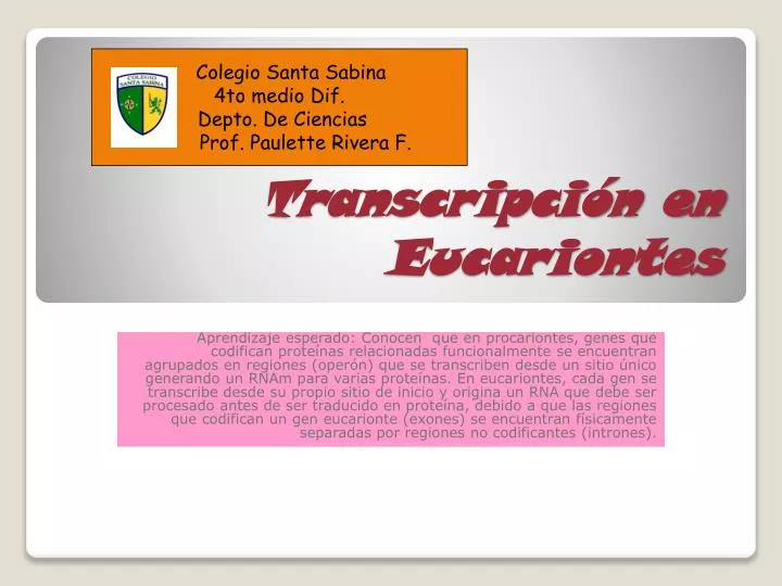 transcripci n en eucariontes