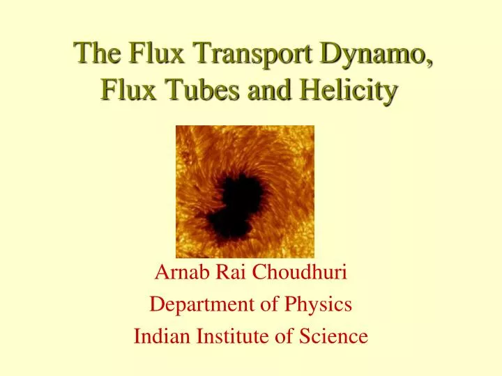 the flux transport dynamo flux tubes and helicity