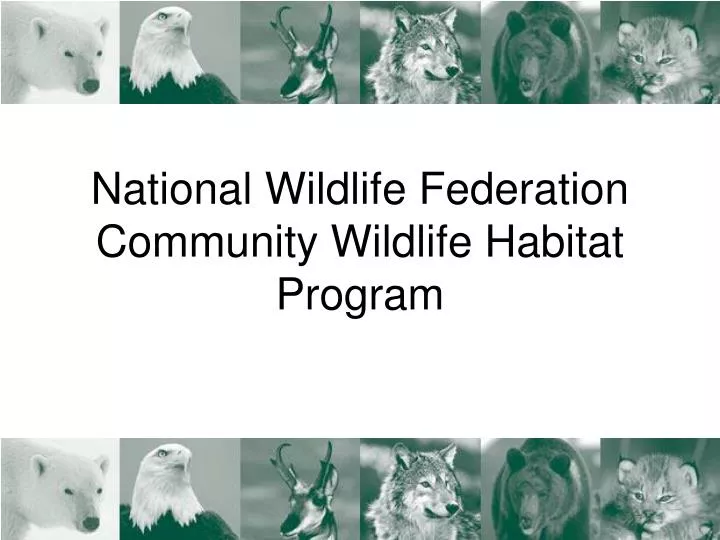 national wildlife federation community wildlife habitat program