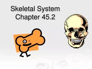 Skeletal System Chapter 45.2