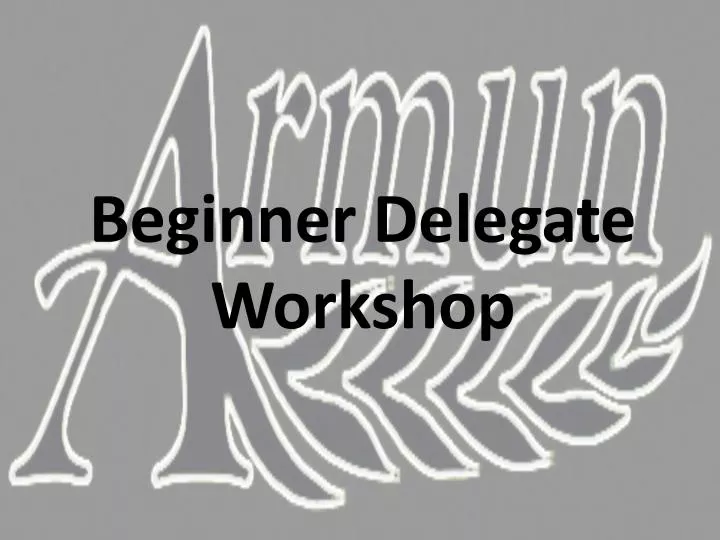 beginner delegate workshop