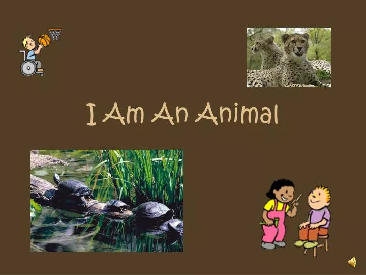 i am an animal