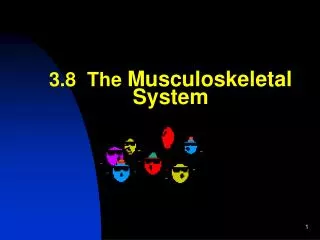 3.8 The Musculoskeletal System