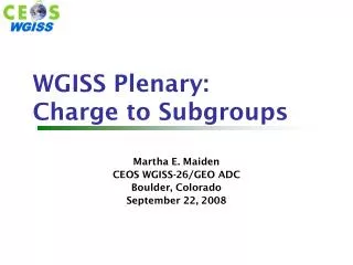 WGISS Plenary: Charge to Subgroups