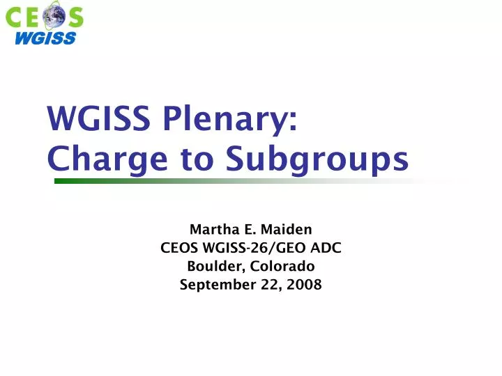 wgiss plenary charge to subgroups