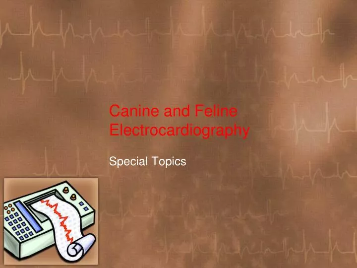 canine and feline electrocardiography