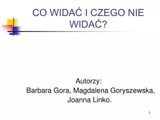 co wida i czego nie wida