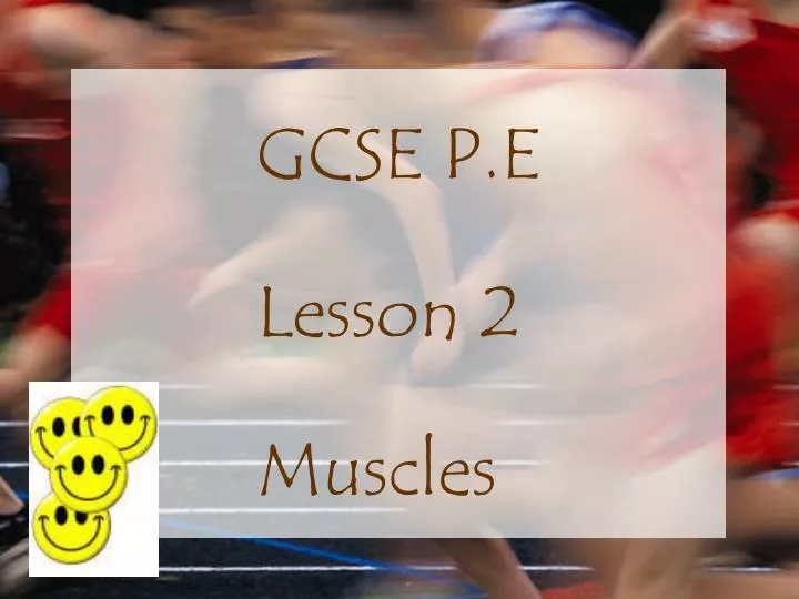 gcse p e lesson 2 muscles