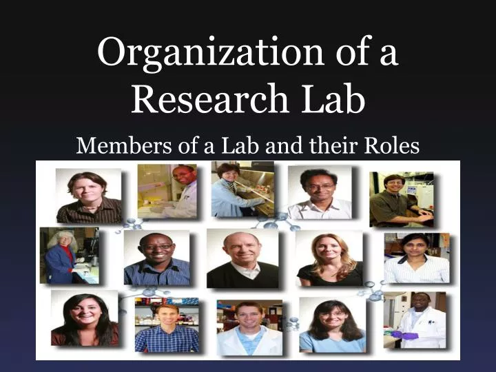 organization of a research lab