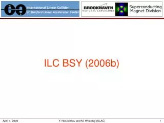 ILC BSY (2006b)