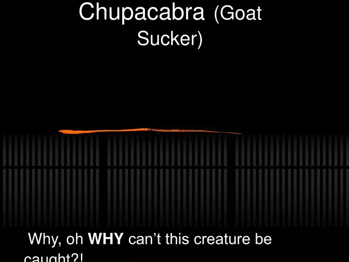 chupacabra goat sucker