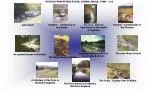 Arkle Beck - slide 1