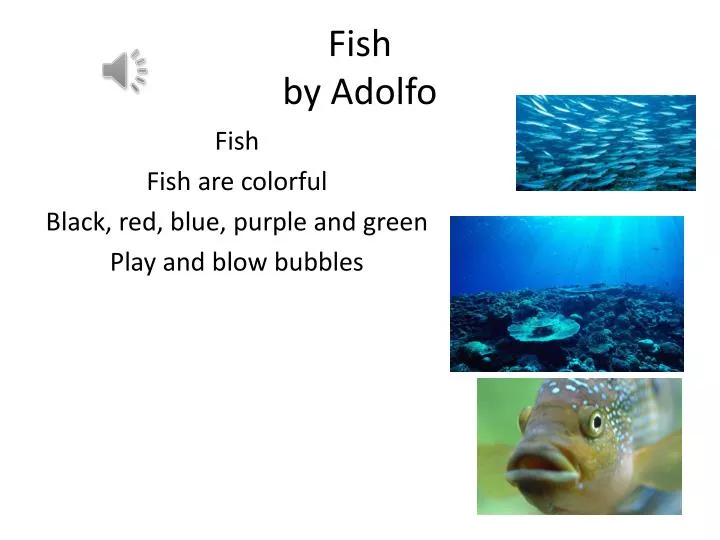 fish by adolfo