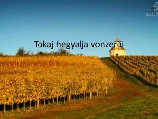 tokaj hegyalja vonzer i